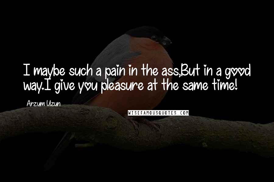 Arzum Uzun Quotes: I maybe such a pain in the ass,But in a good way.I give you pleasure at the same time!