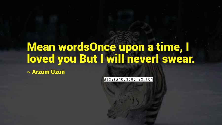 Arzum Uzun Quotes: Mean wordsOnce upon a time, I loved you But I will neverI swear.