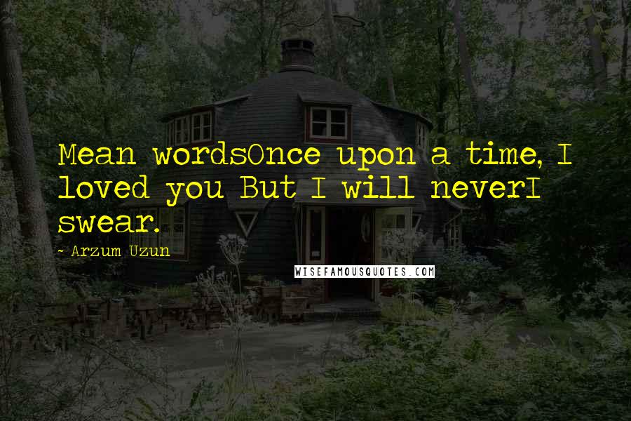 Arzum Uzun Quotes: Mean wordsOnce upon a time, I loved you But I will neverI swear.