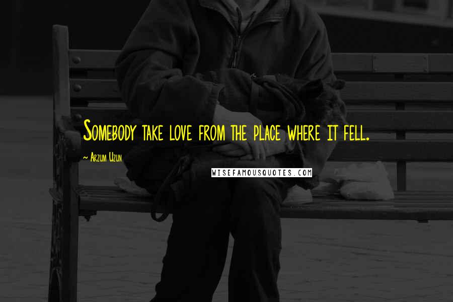 Arzum Uzun Quotes: Somebody take love from the place where it fell.