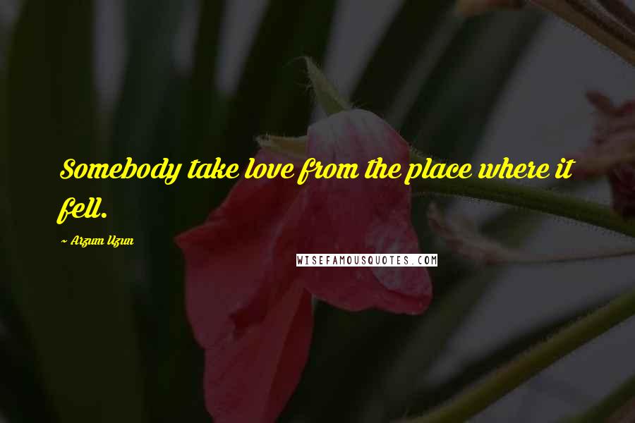 Arzum Uzun Quotes: Somebody take love from the place where it fell.