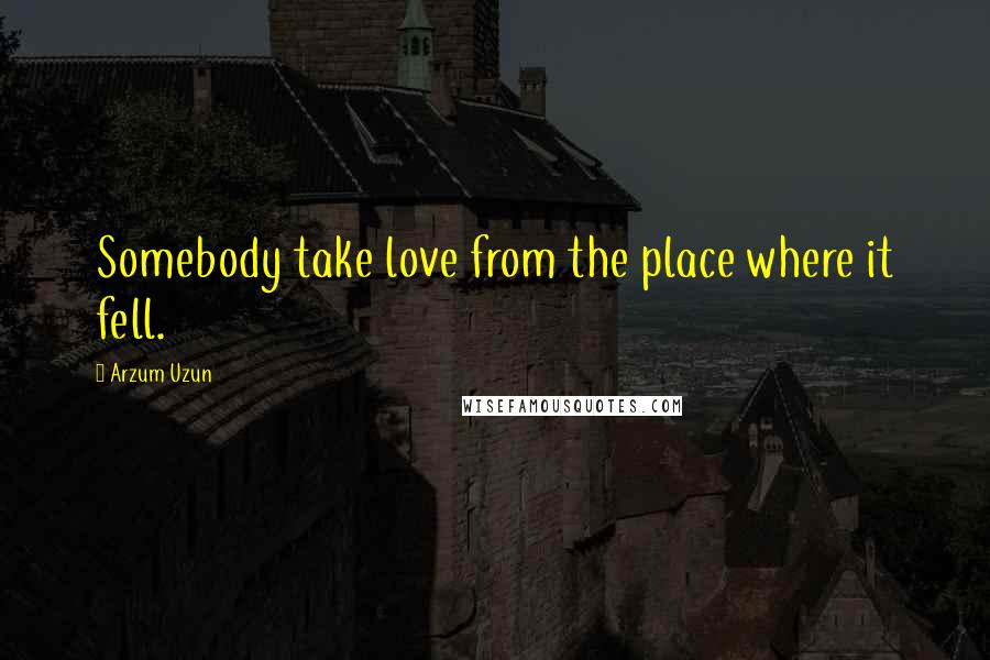 Arzum Uzun Quotes: Somebody take love from the place where it fell.