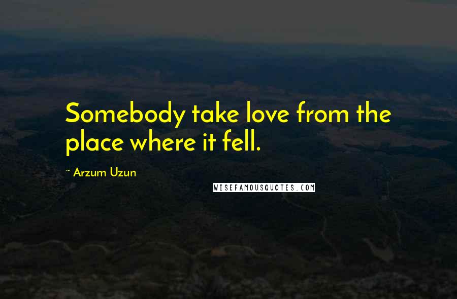 Arzum Uzun Quotes: Somebody take love from the place where it fell.