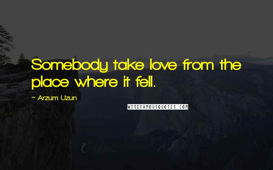 Arzum Uzun Quotes: Somebody take love from the place where it fell.