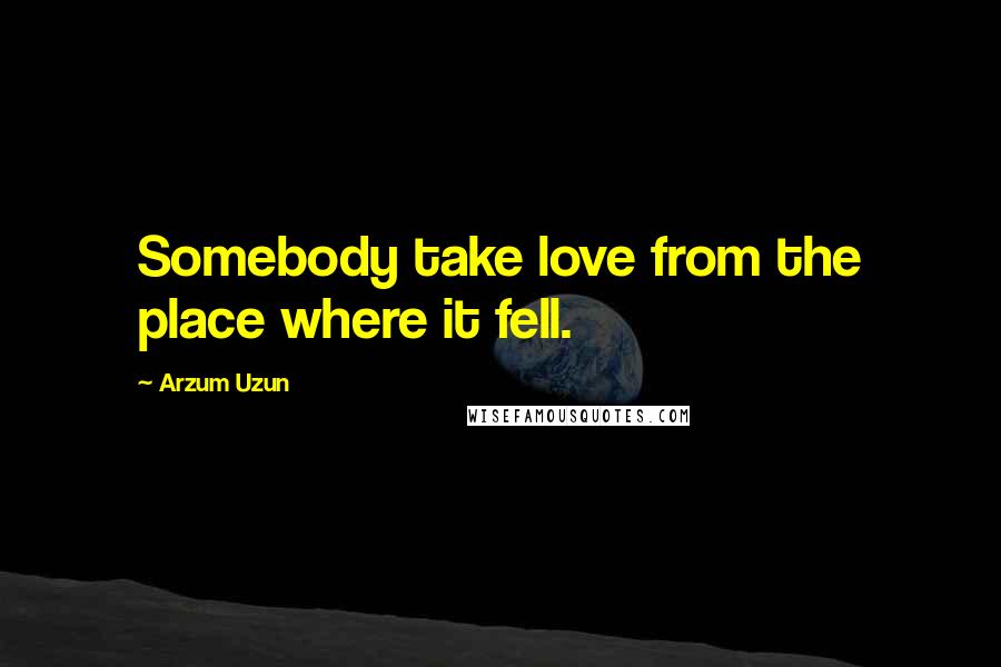 Arzum Uzun Quotes: Somebody take love from the place where it fell.