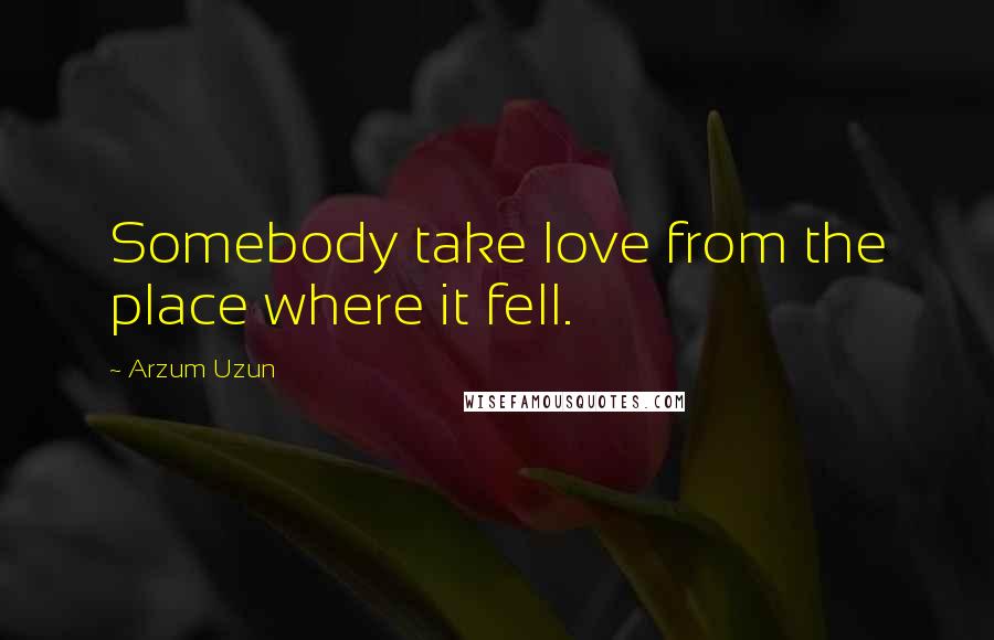 Arzum Uzun Quotes: Somebody take love from the place where it fell.