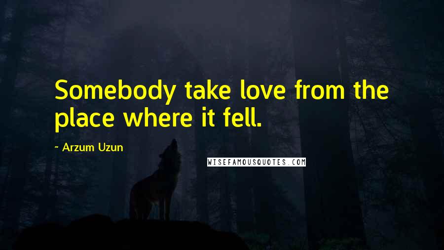 Arzum Uzun Quotes: Somebody take love from the place where it fell.