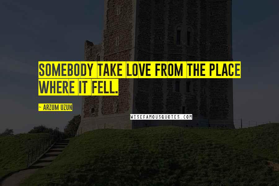 Arzum Uzun Quotes: Somebody take love from the place where it fell.