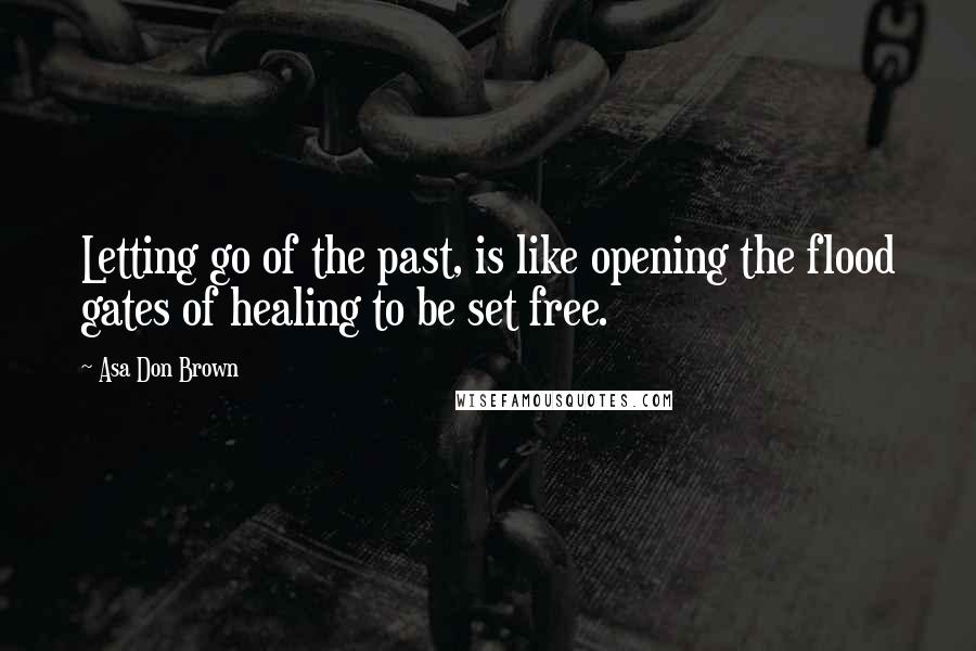 Asa Don Brown Quotes: Letting go of the past, is like opening the flood gates of healing to be set free.