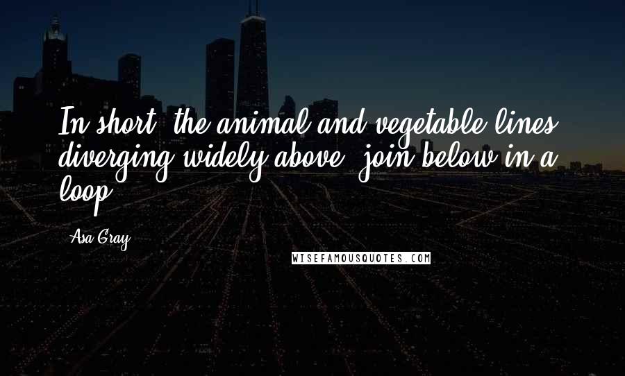 Asa Gray Quotes: In short, the animal and vegetable lines, diverging widely above, join below in a loop.