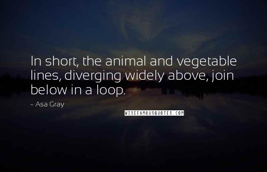 Asa Gray Quotes: In short, the animal and vegetable lines, diverging widely above, join below in a loop.