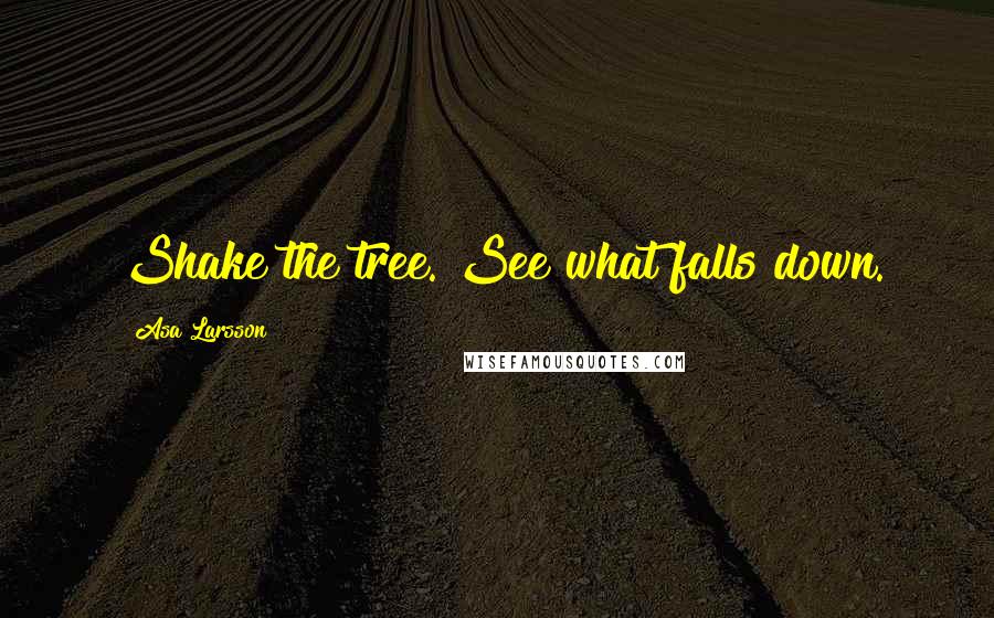 Asa Larsson Quotes: Shake the tree. See what falls down.