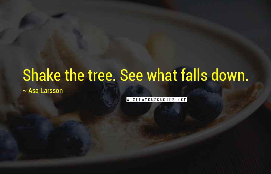 Asa Larsson Quotes: Shake the tree. See what falls down.