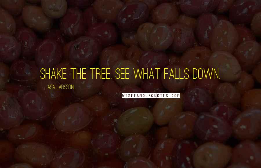 Asa Larsson Quotes: Shake the tree. See what falls down.