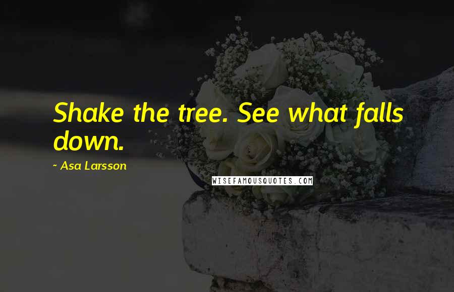 Asa Larsson Quotes: Shake the tree. See what falls down.