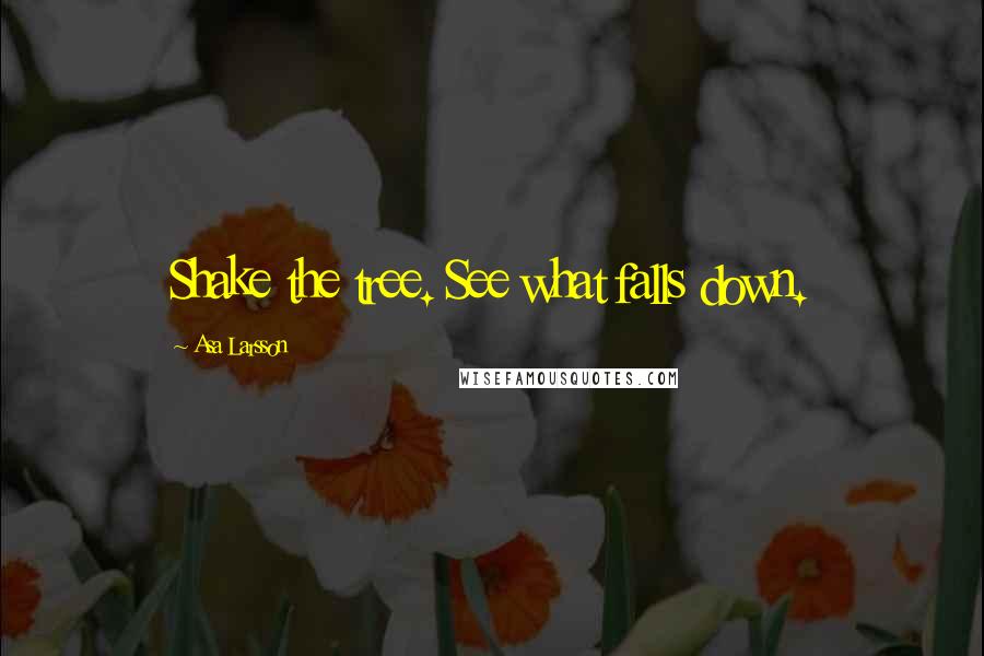 Asa Larsson Quotes: Shake the tree. See what falls down.