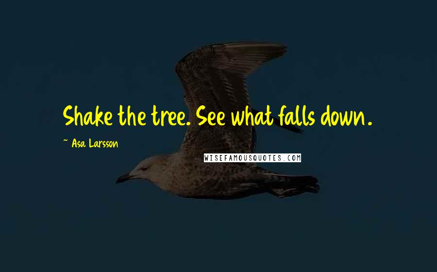 Asa Larsson Quotes: Shake the tree. See what falls down.