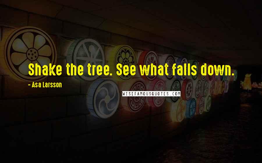 Asa Larsson Quotes: Shake the tree. See what falls down.