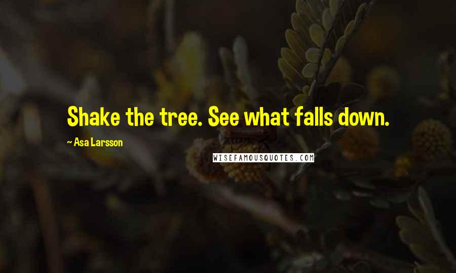 Asa Larsson Quotes: Shake the tree. See what falls down.