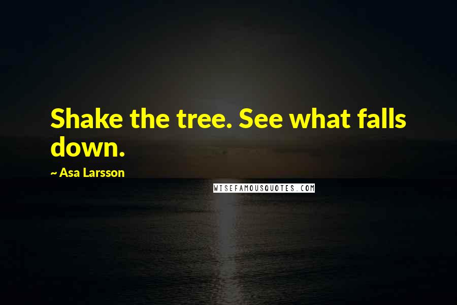 Asa Larsson Quotes: Shake the tree. See what falls down.