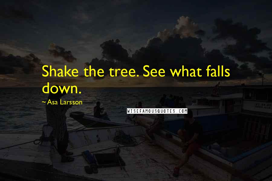 Asa Larsson Quotes: Shake the tree. See what falls down.