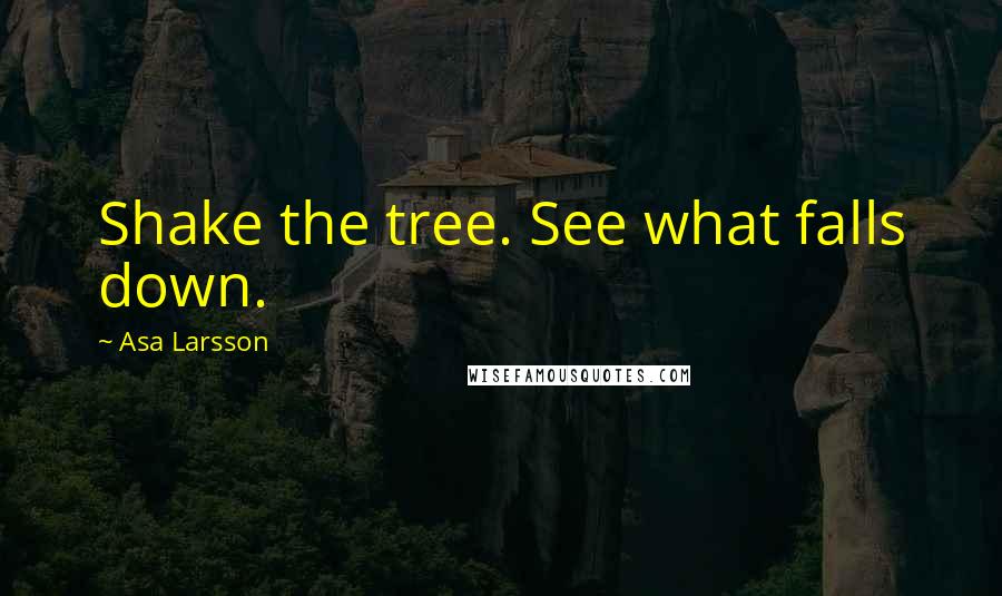 Asa Larsson Quotes: Shake the tree. See what falls down.