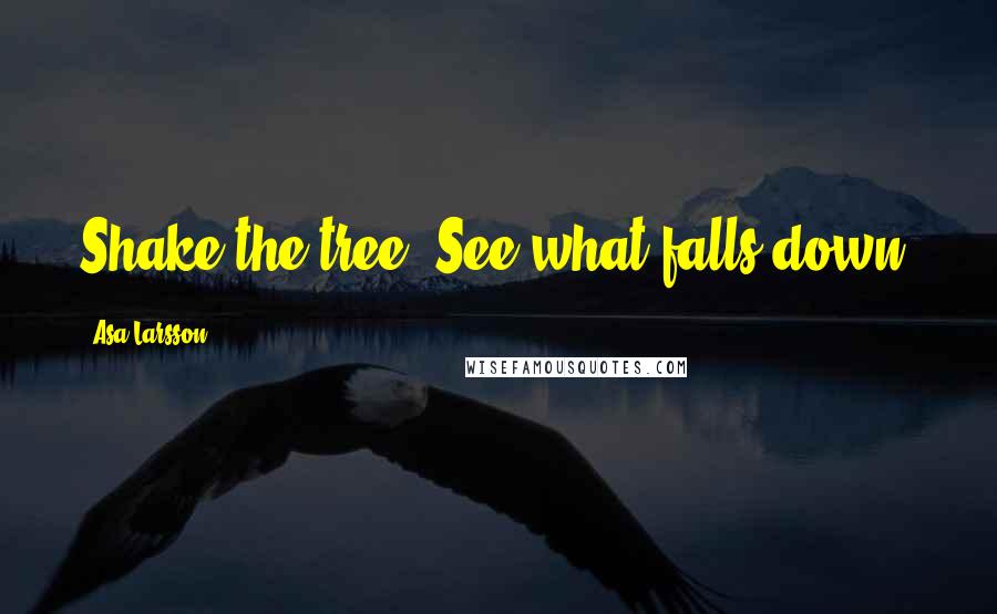 Asa Larsson Quotes: Shake the tree. See what falls down.