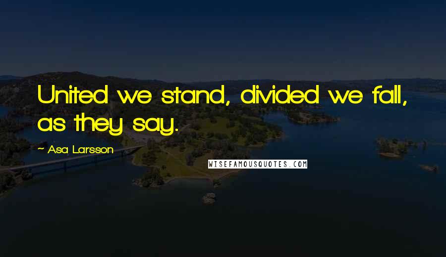 Asa Larsson Quotes: United we stand, divided we fall, as they say.