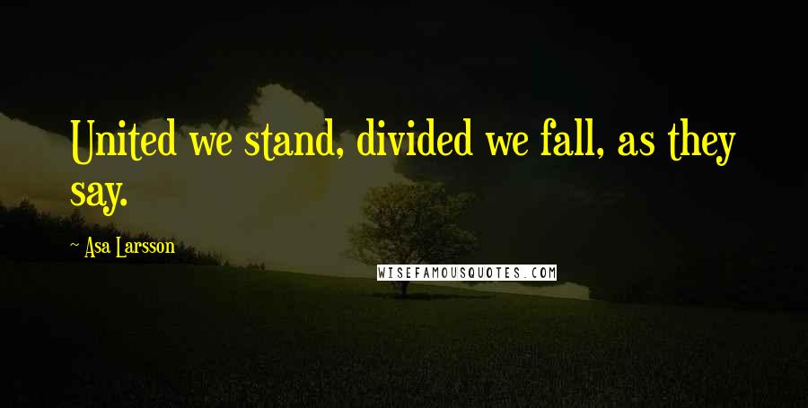 Asa Larsson Quotes: United we stand, divided we fall, as they say.