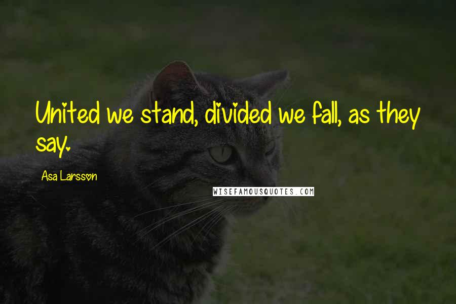 Asa Larsson Quotes: United we stand, divided we fall, as they say.