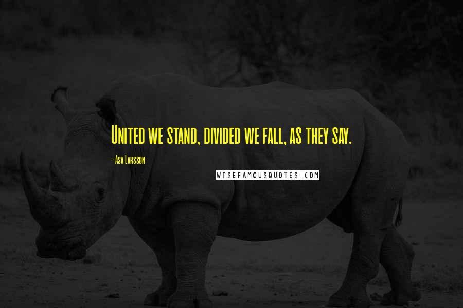 Asa Larsson Quotes: United we stand, divided we fall, as they say.