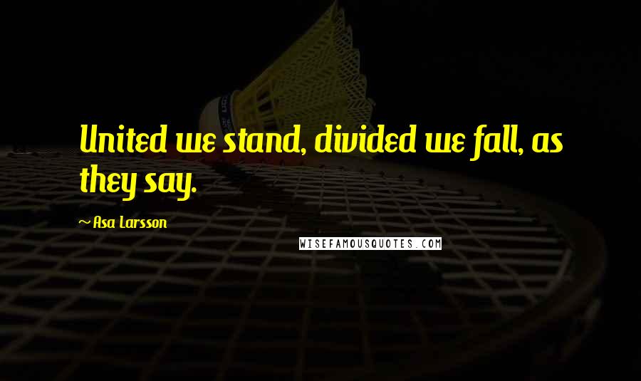 Asa Larsson Quotes: United we stand, divided we fall, as they say.