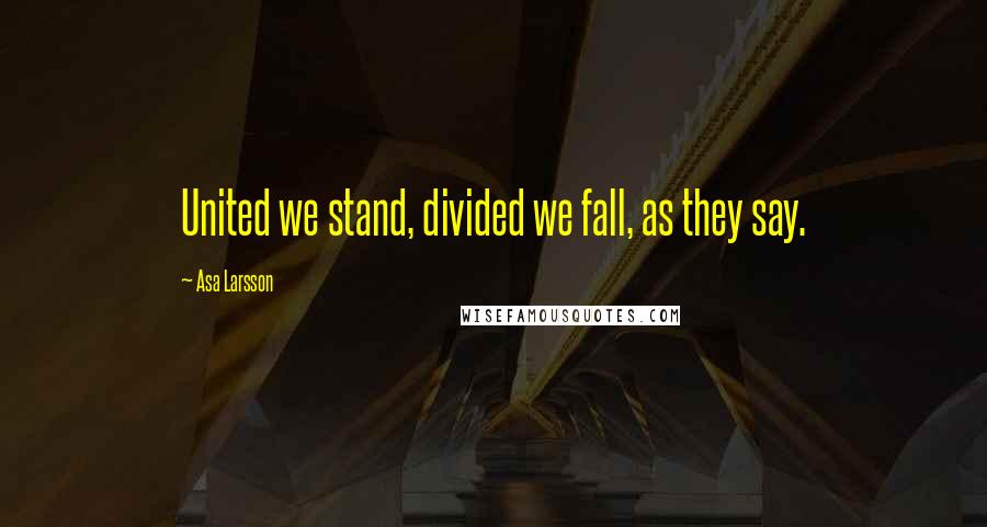 Asa Larsson Quotes: United we stand, divided we fall, as they say.