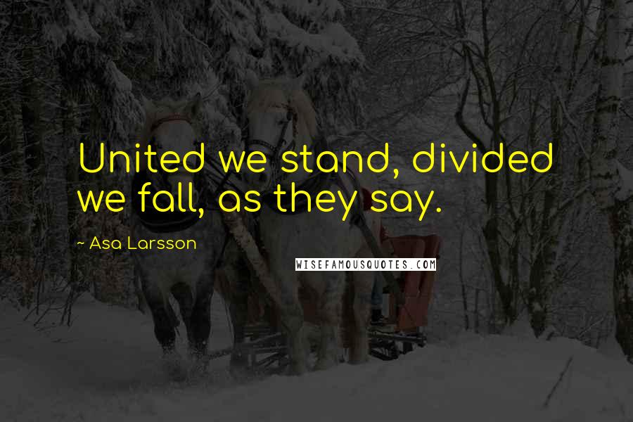 Asa Larsson Quotes: United we stand, divided we fall, as they say.