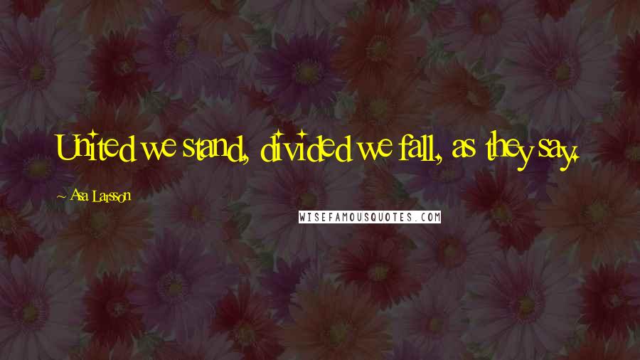 Asa Larsson Quotes: United we stand, divided we fall, as they say.