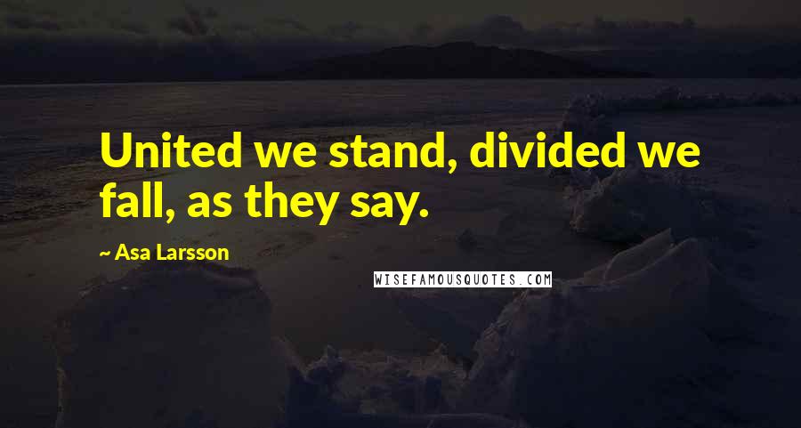 Asa Larsson Quotes: United we stand, divided we fall, as they say.