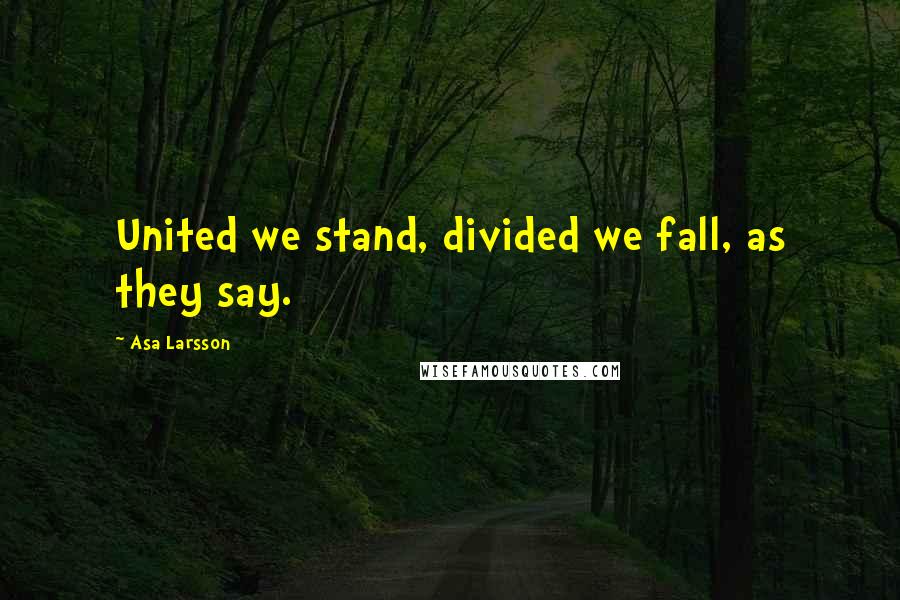 Asa Larsson Quotes: United we stand, divided we fall, as they say.