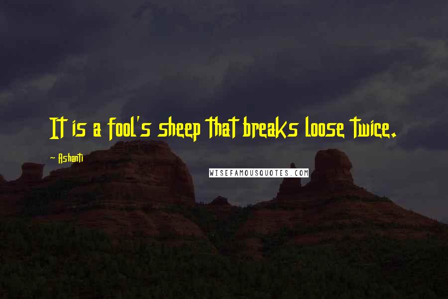 Ashanti Quotes: It is a fool's sheep that breaks loose twice.