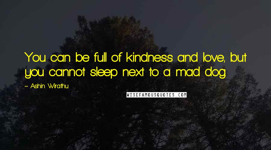 Ashin Wirathu Quotes: You can be full of kindness and love, but you cannot sleep next to a mad dog.