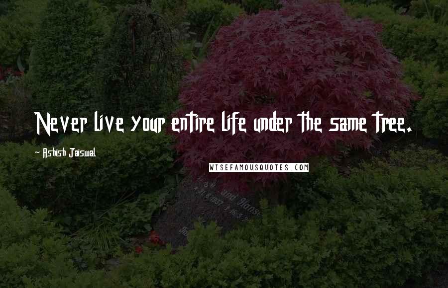 Ashish Jaiswal Quotes: Never live your entire life under the same tree.