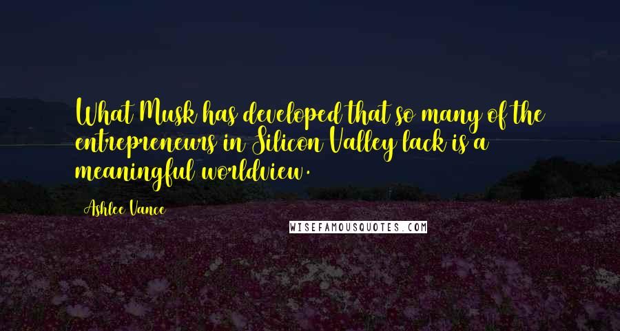 Ashlee Vance Quotes: What Musk has developed that so many of the entrepreneurs in Silicon Valley lack is a meaningful worldview.