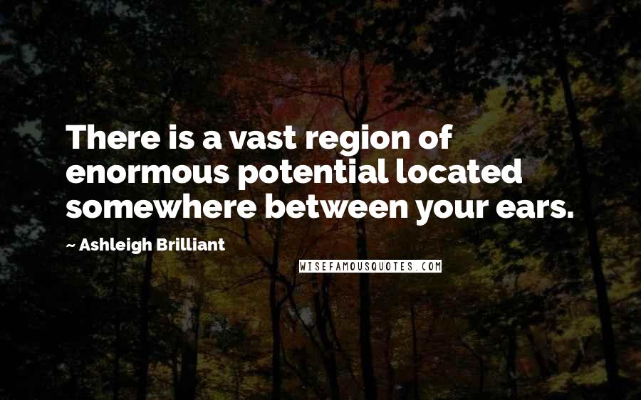 Ashleigh Brilliant Quotes: There is a vast region of enormous potential located somewhere between your ears.