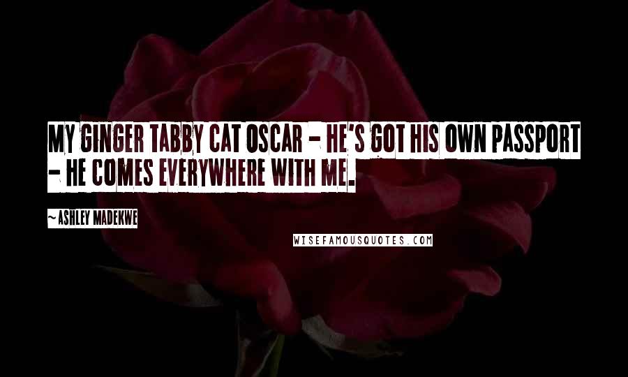 Ashley Madekwe Quotes: My ginger tabby cat Oscar - he's got his own passport - he comes everywhere with me.