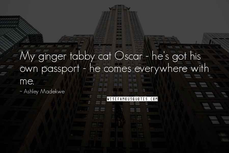 Ashley Madekwe Quotes: My ginger tabby cat Oscar - he's got his own passport - he comes everywhere with me.