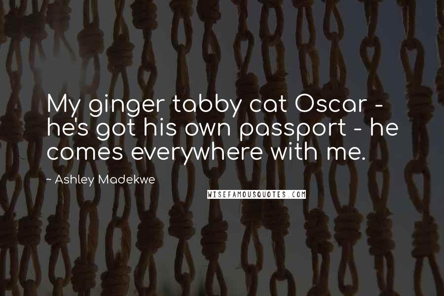 Ashley Madekwe Quotes: My ginger tabby cat Oscar - he's got his own passport - he comes everywhere with me.