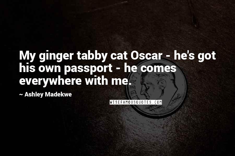 Ashley Madekwe Quotes: My ginger tabby cat Oscar - he's got his own passport - he comes everywhere with me.