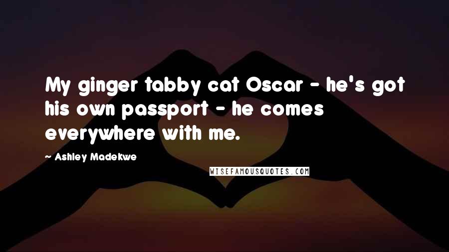 Ashley Madekwe Quotes: My ginger tabby cat Oscar - he's got his own passport - he comes everywhere with me.
