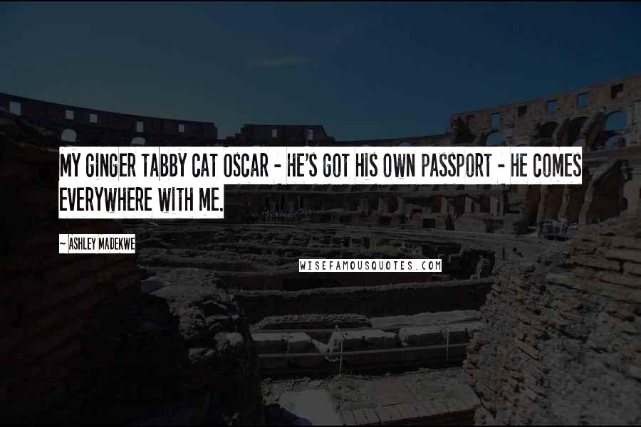 Ashley Madekwe Quotes: My ginger tabby cat Oscar - he's got his own passport - he comes everywhere with me.