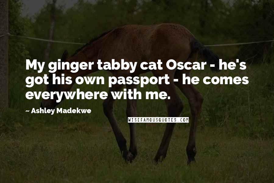 Ashley Madekwe Quotes: My ginger tabby cat Oscar - he's got his own passport - he comes everywhere with me.