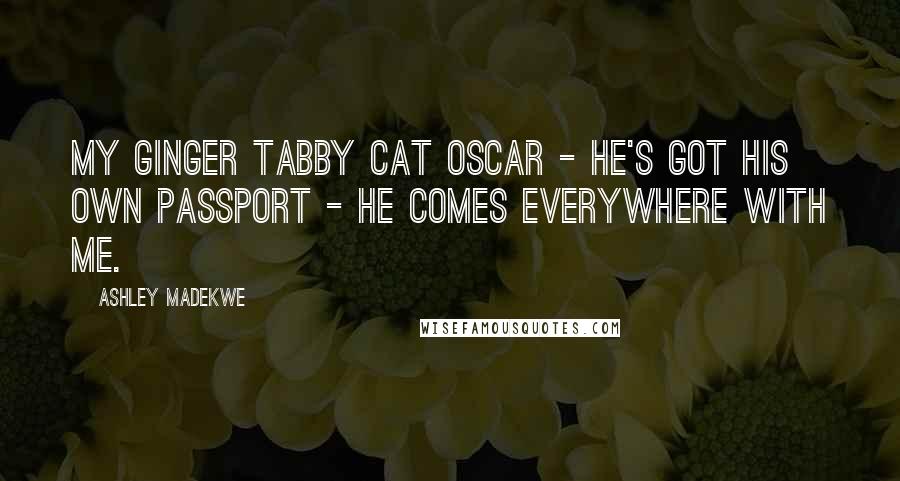 Ashley Madekwe Quotes: My ginger tabby cat Oscar - he's got his own passport - he comes everywhere with me.